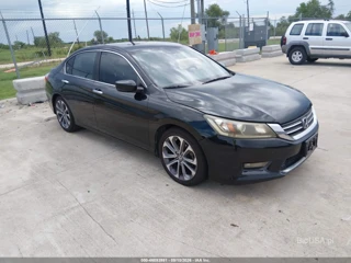 HONDA HONDA ACCORD SPORT
