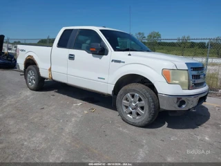 FORD FORD F-150 XLT