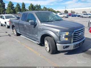FORD FORD F-150 XLT