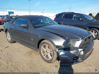 FORD FORD MUSTANG V6