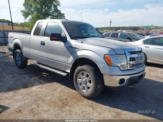 FORD FORD F-150 XLT