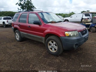 FORD FORD ESCAPE XLT/XLT SPORT