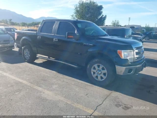 FORD FORD F-150 XLT