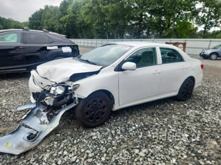 TOYOTA COROLLA L