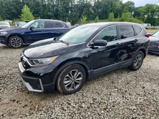 HONDA CR-V EX