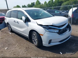HONDA HONDA ODYSSEY EX-L