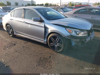 HONDA HONDA ACCORD SPORT