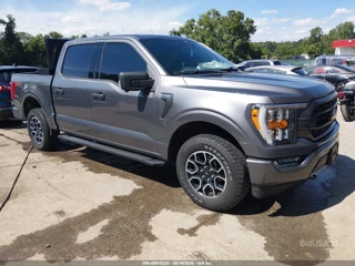 FORD FORD F-150 XLT