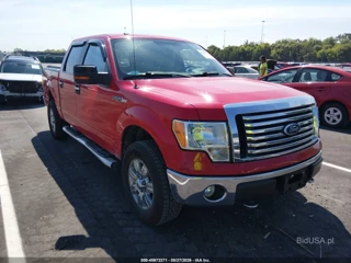 FORD FORD F-150 FX4/HARLEY-DAVIDSON/KING RANCH/LARIAT/PLATINUM/XL/XLT