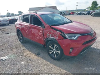 TOYOTA TOYOTA RAV4 XLE