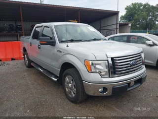 FORD FORD F-150 XLT
