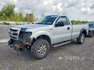 FORD F150