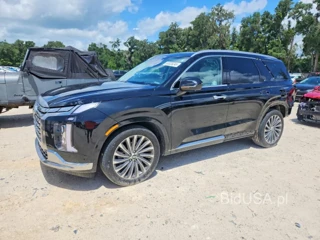 HYUNDAI PALISADE CALLIGRAPHY