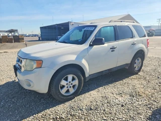 FORD ESCAPE XLT