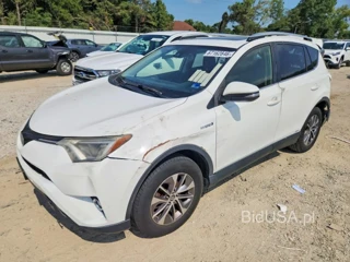 TOYOTA RAV4 HYBRID XLE