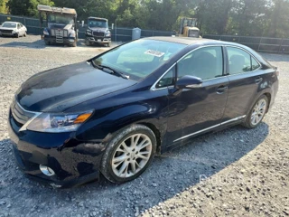 LEXUS HS 250H