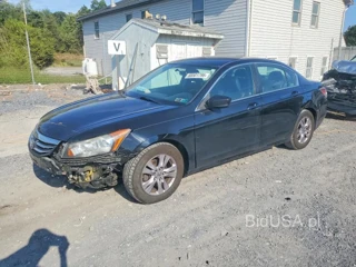 HONDA ACCORD SE
