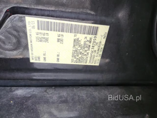 NISSAN MAXIMA PLATINUM