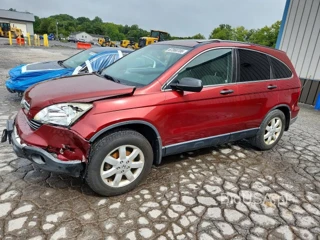 HONDA CR-V EX