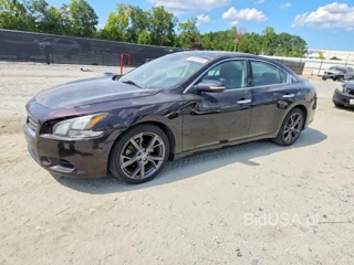 NISSAN MAXIMA 3.5 SV