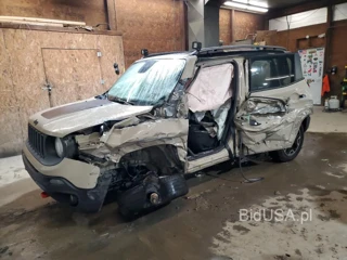 JEEP RENEGADE TRAILHAWK
