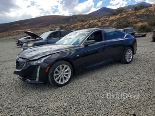 CADILLAC CT5 LUXURY