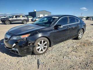ACURA TL