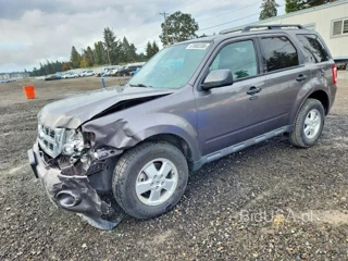 FORD ESCAPE XLT