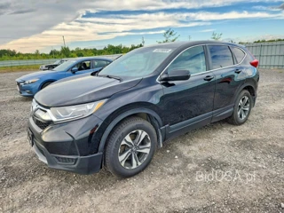 HONDA CR-V LX