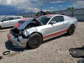 FORD MUSTANG SHELBY GT500