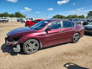 HONDA ACCORD SPORT