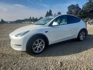 TESLA MODEL  Y