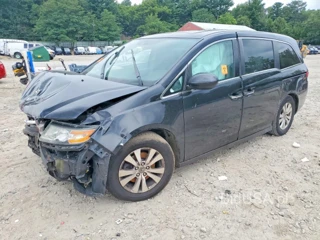HONDA ODYSSEY EXL