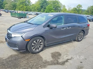 HONDA ODYSSEY EXL