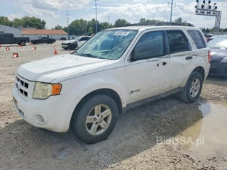 FORD ESCAPE HYBRID