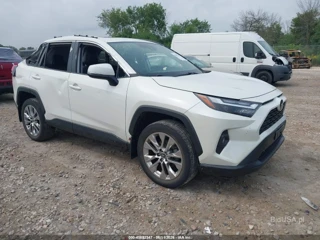 TOYOTA TOYOTA RAV4 XLE PREMIUM