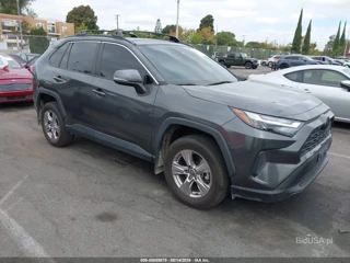 TOYOTA TOYOTA RAV4 XLE