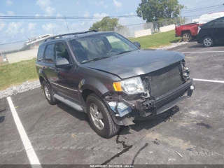 FORD FORD ESCAPE XLT