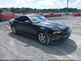 FORD FORD MUSTANG V6