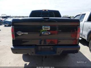 FORD FORD F-150 HARLEY-DAVIDSON