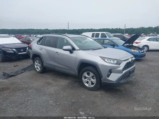 TOYOTA TOYOTA RAV4 XLE