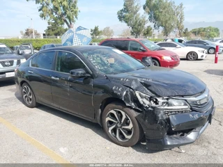 HONDA HONDA ACCORD EX-L