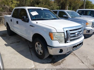 FORD FORD F-150 XLT