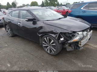 NISSAN NISSAN MAXIMA 3.5 PLATINUM/3.5 S/3.5 SL/3.5 SR/3.5 SV