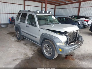 JEEP JEEP LIBERTY RENEGADE