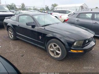 FORD FORD MUSTANG V6