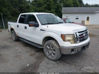 FORD FORD F-150 FX4/HARLEY-DAVIDSON/KING RANCH/LARIAT/PLATINUM/XL/XLT
