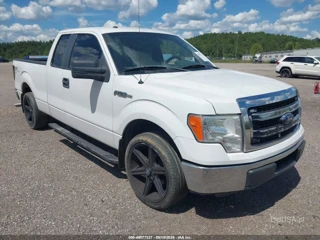 FORD FORD F-150 XLT