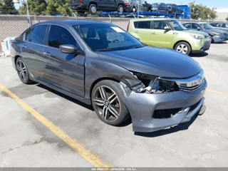 HONDA HONDA ACCORD SPORT SE