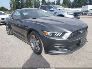 FORD FORD MUSTANG V6